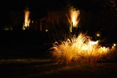 Garden Lighting in Cambridge 